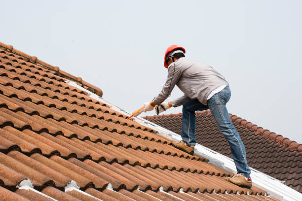 Best Rubber Roofing (EPDM, TPO)  in Lake Village, AR