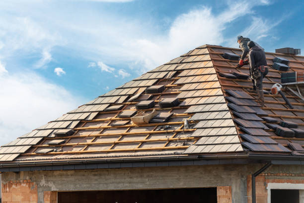 Best Skylight Installation and Repair  in Lake Village, AR