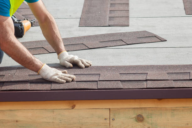 Best Roof Moss and Algae Removal  in Lake Village, AR